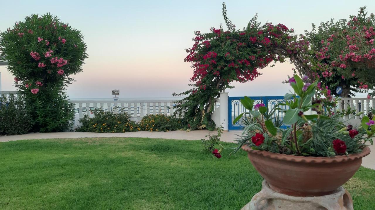 ארכאנגלוס Antonios Apartments Stegna מראה חיצוני תמונה