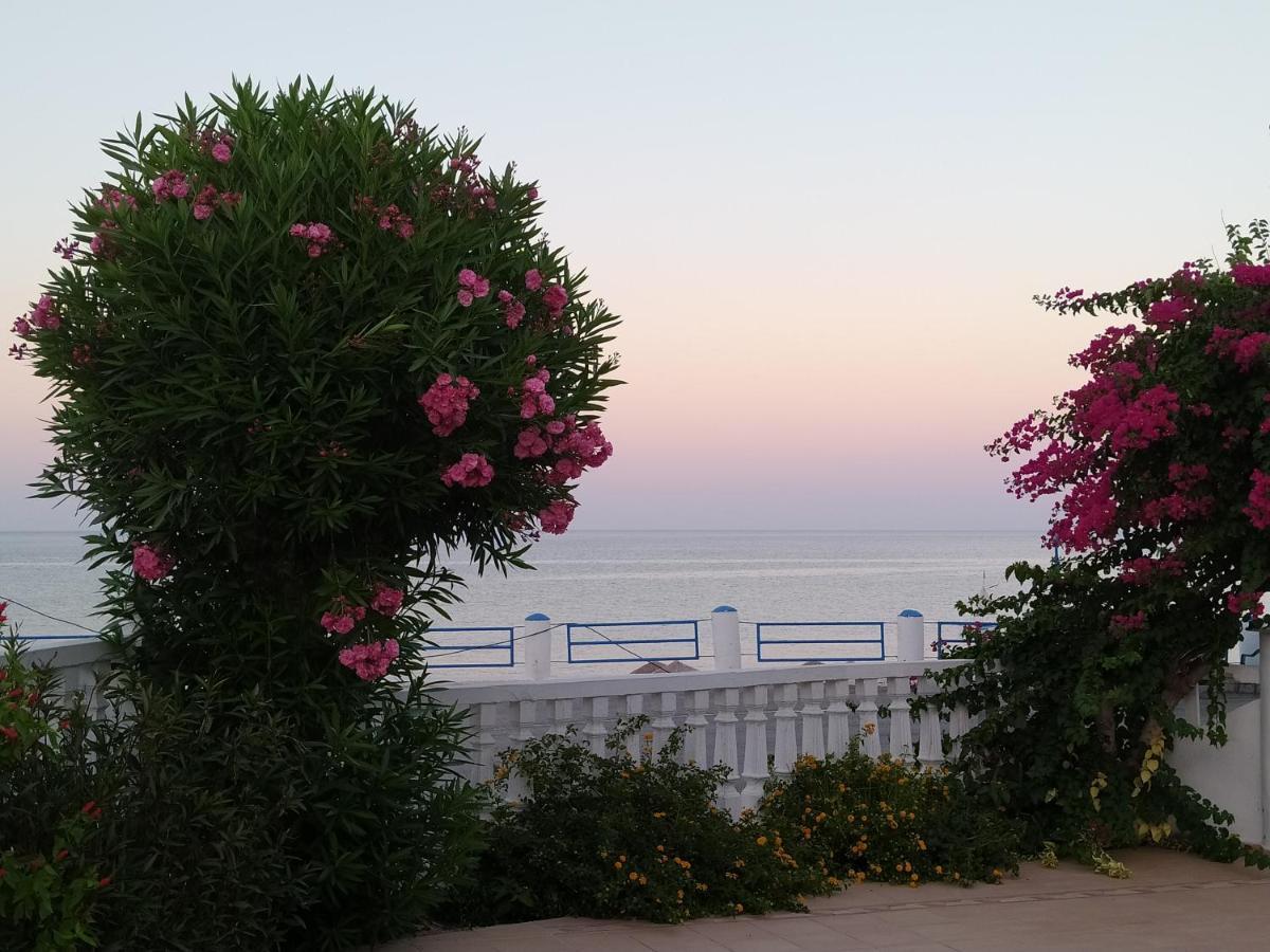 ארכאנגלוס Antonios Apartments Stegna מראה חיצוני תמונה