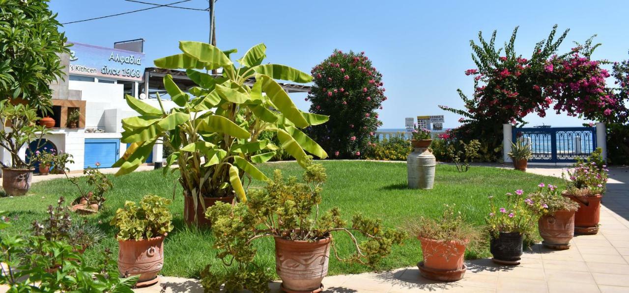 ארכאנגלוס Antonios Apartments Stegna מראה חיצוני תמונה